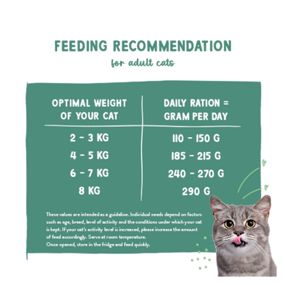 Freshe Mieze - Trout, Turkey & Chicken 100g.