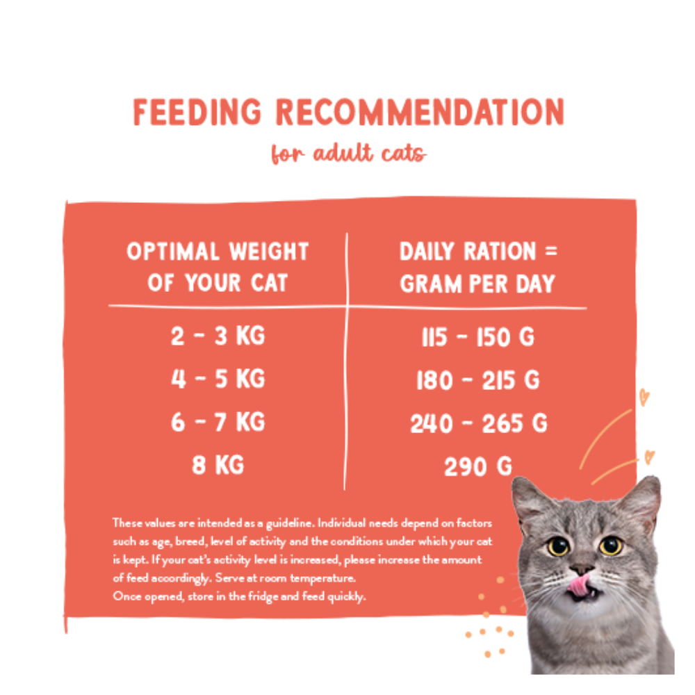 Freshe Mieze - Turkey & Chicken 100g