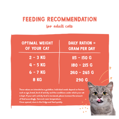 Freshe Mieze - Turkey & Chicken 100g