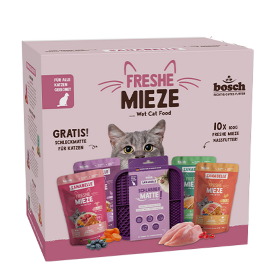 Freshe Mieze Actionbox 10x100g