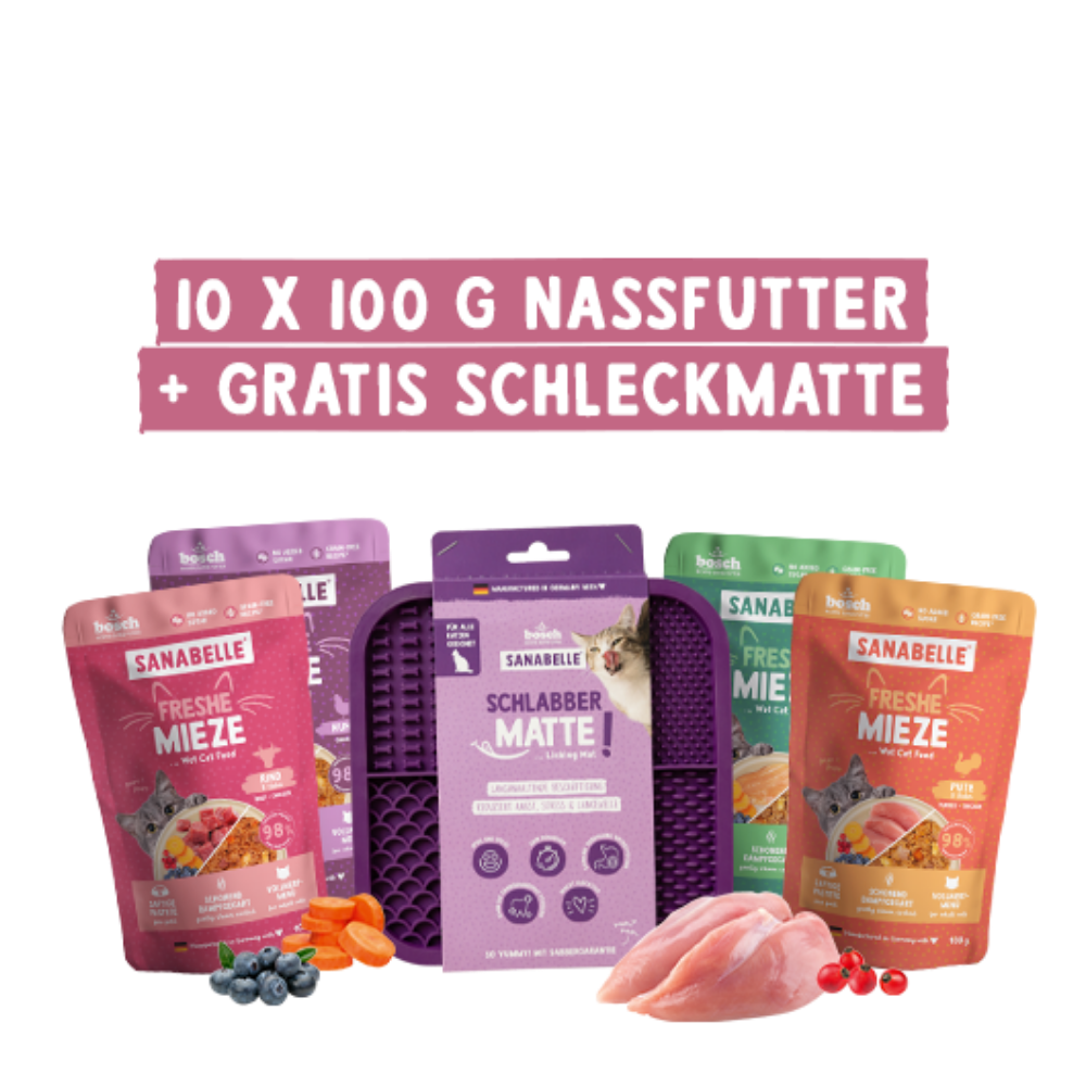 Freshe Mieze Actionbox 10x100g