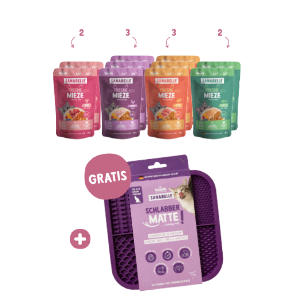 Freshe Mieze Actionbox 10x100g