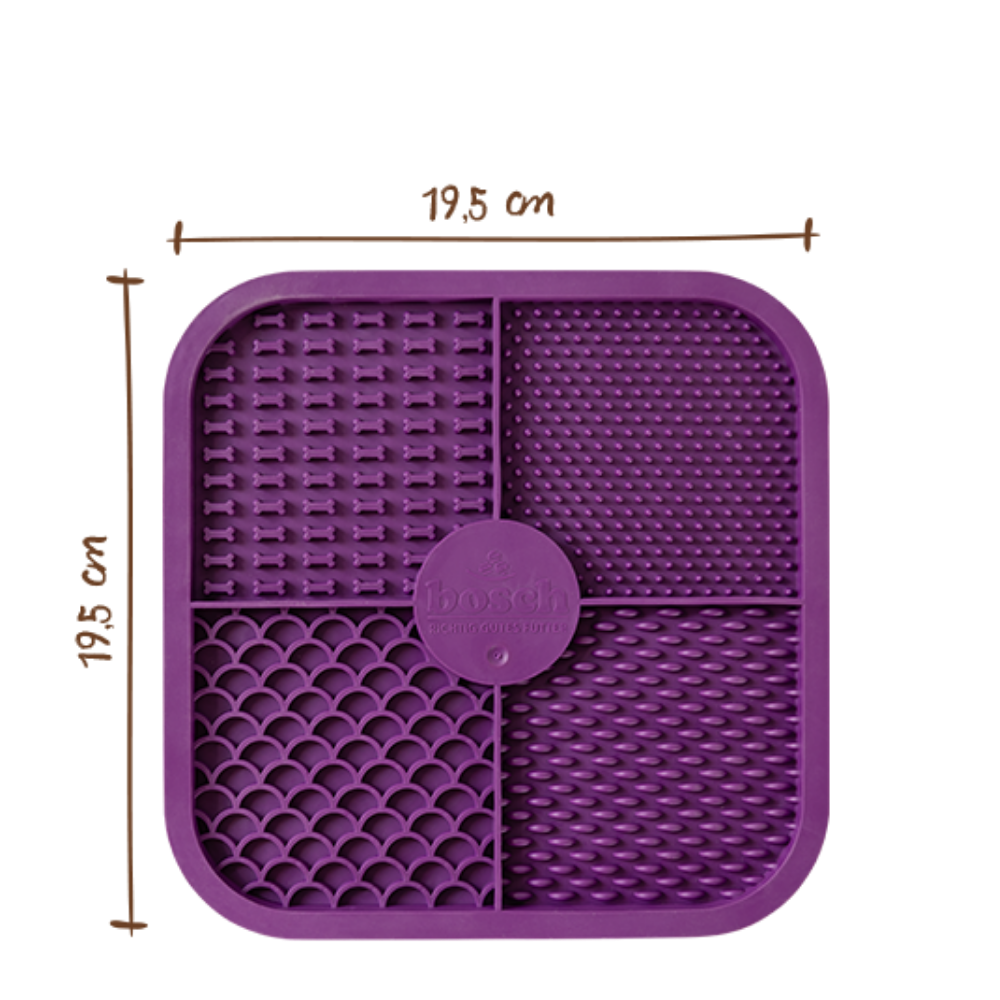 Freshe Mieze Actionbox 10x100g