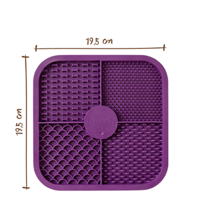 Freshe Mieze Actionbox 10x100g