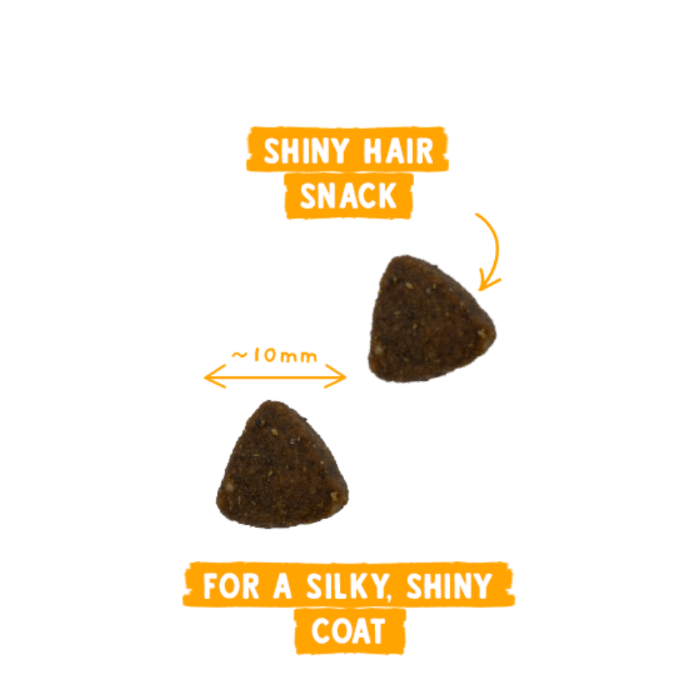 Sanabelle Shiny Hair Snack 20g