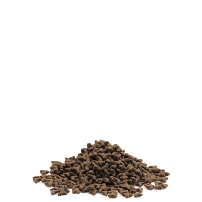 Little Lion 1,5kg - Kettlingafóður