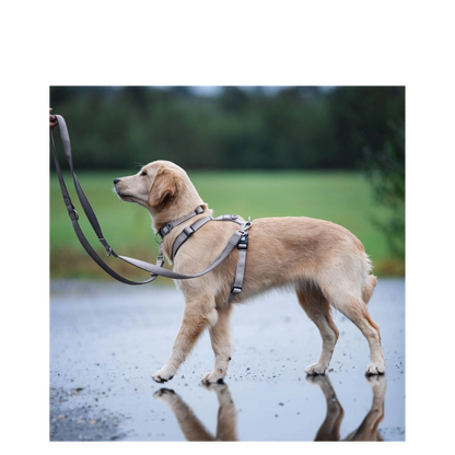 Multi Leash - Matrix 2.0 Sand - XS/S - 200cm