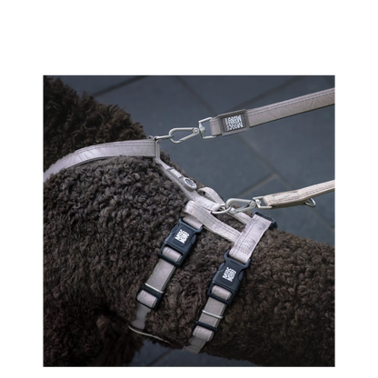 Multi Leash - Matrix 2.0 Sand - M - 200cm