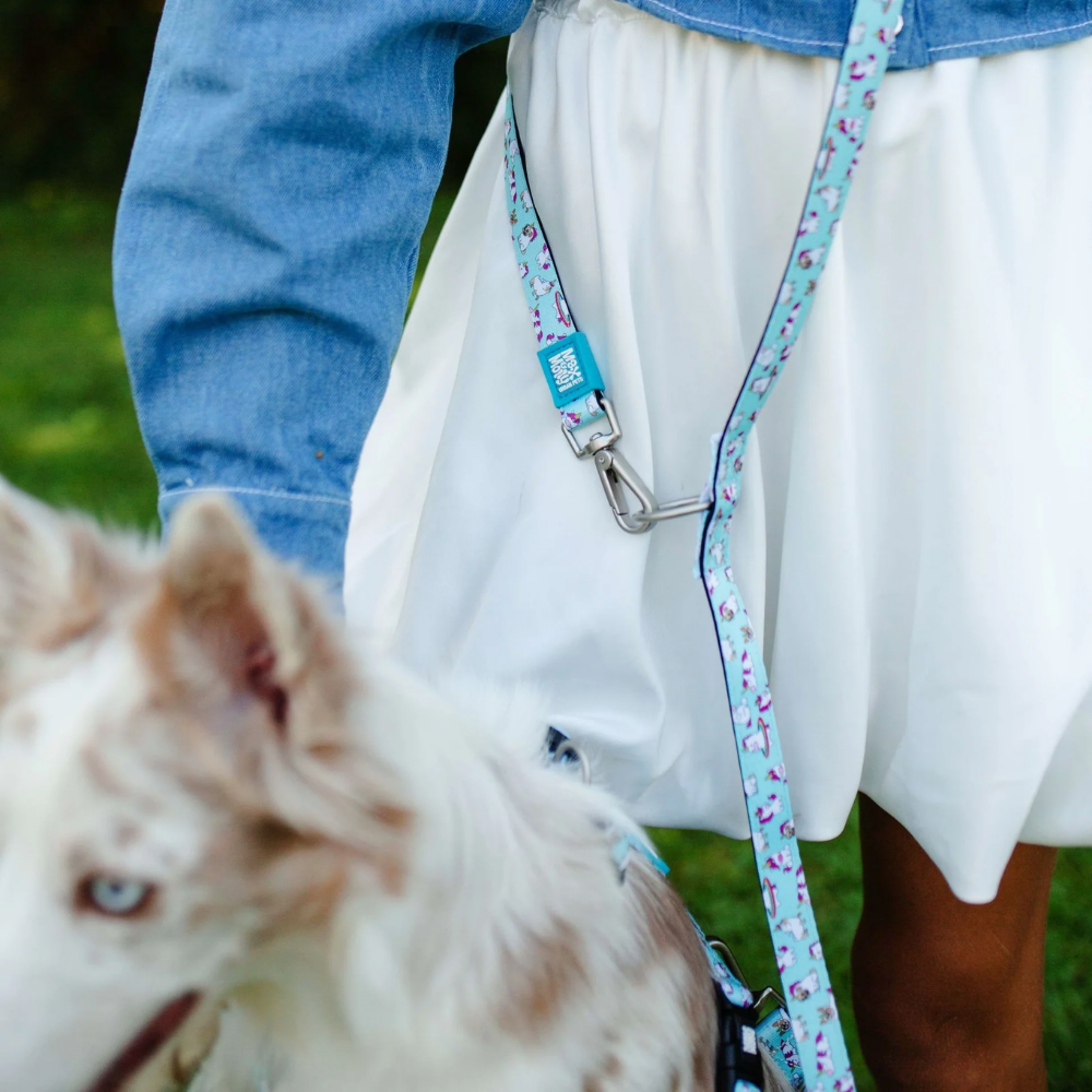 Multi Leash - Unicorn - XS/S - 200cm