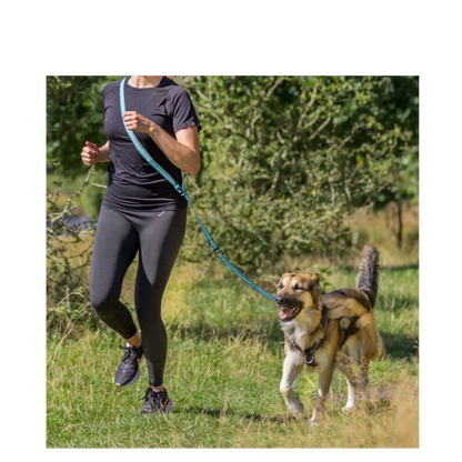 Jogging Leash 130-180cm
