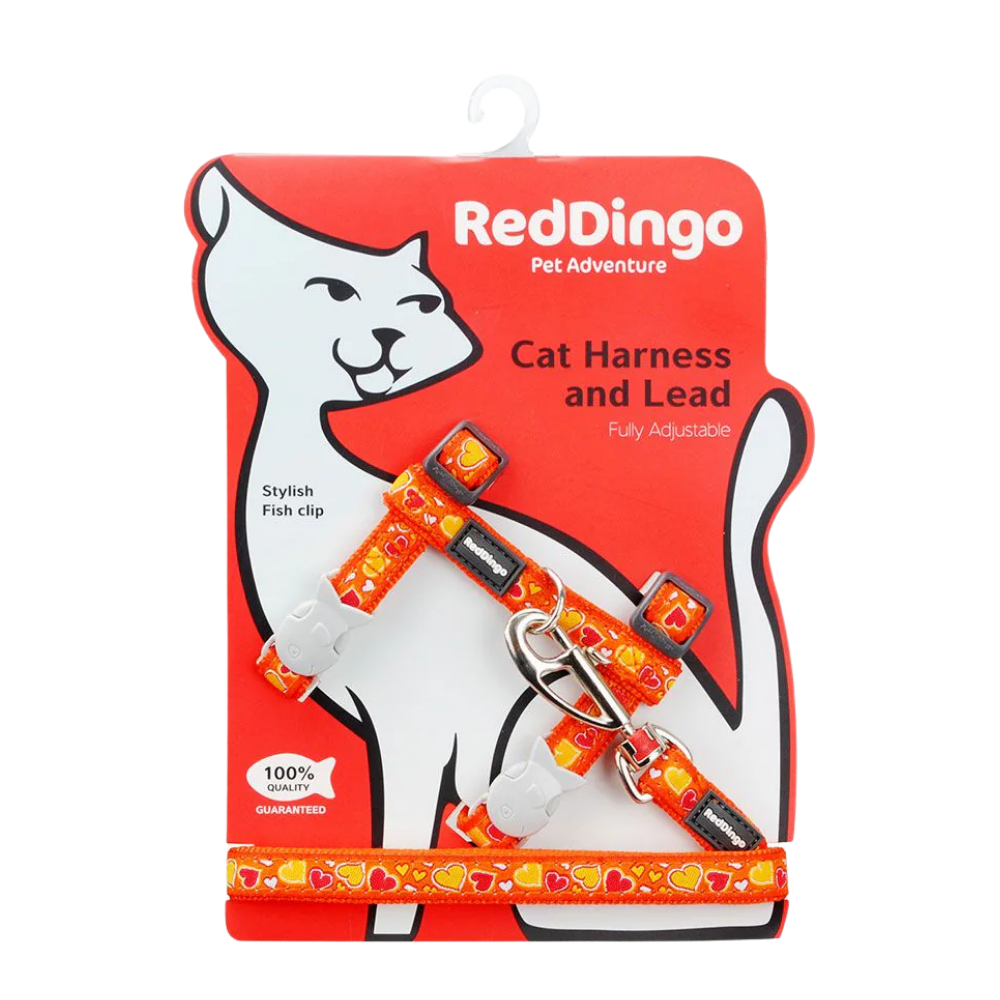 Cat Harness Breezy Love Orange