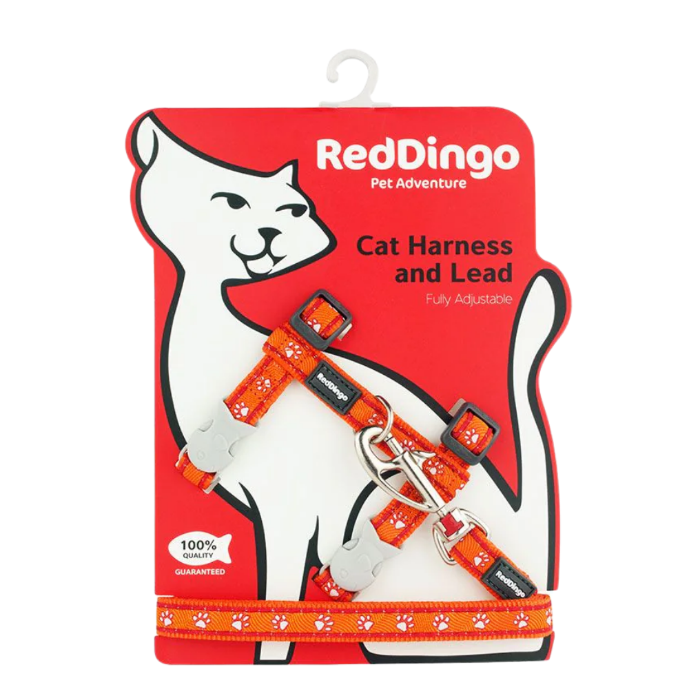 Cat Harness Desert Paws Orange