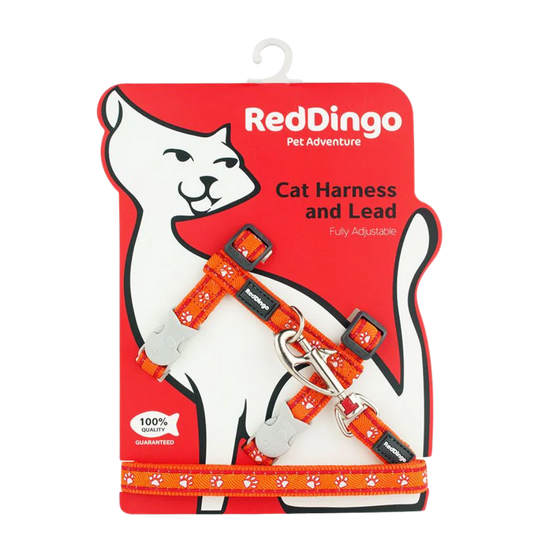 Cat Harness Desert Paws Orange