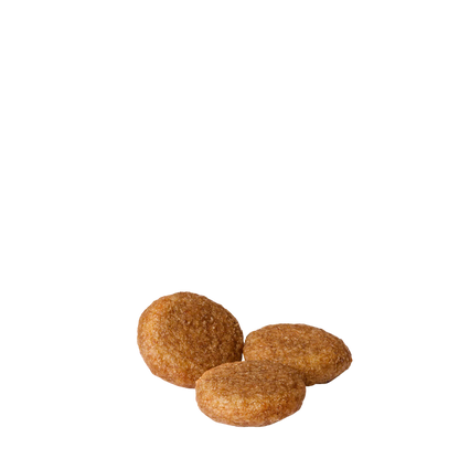 Medium Adult 15kg