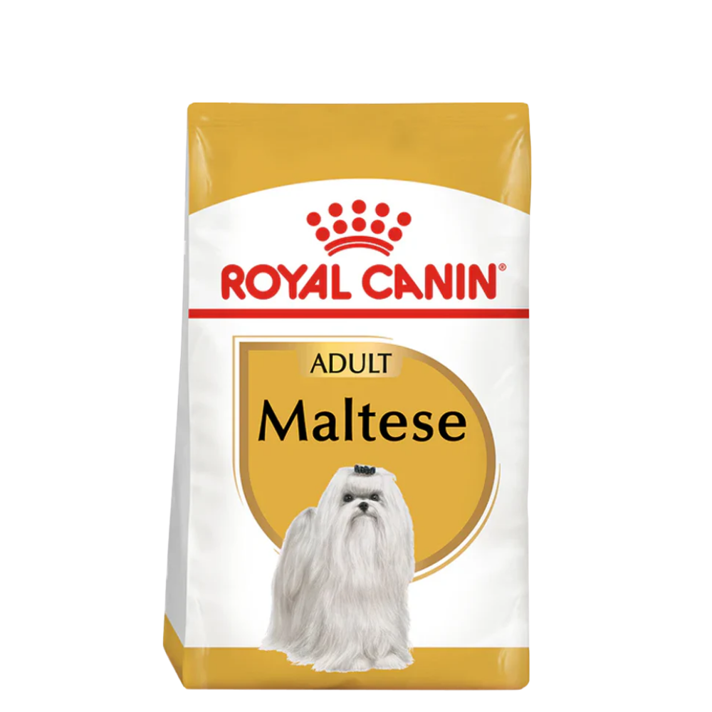 Maltese Adult 1,5kg