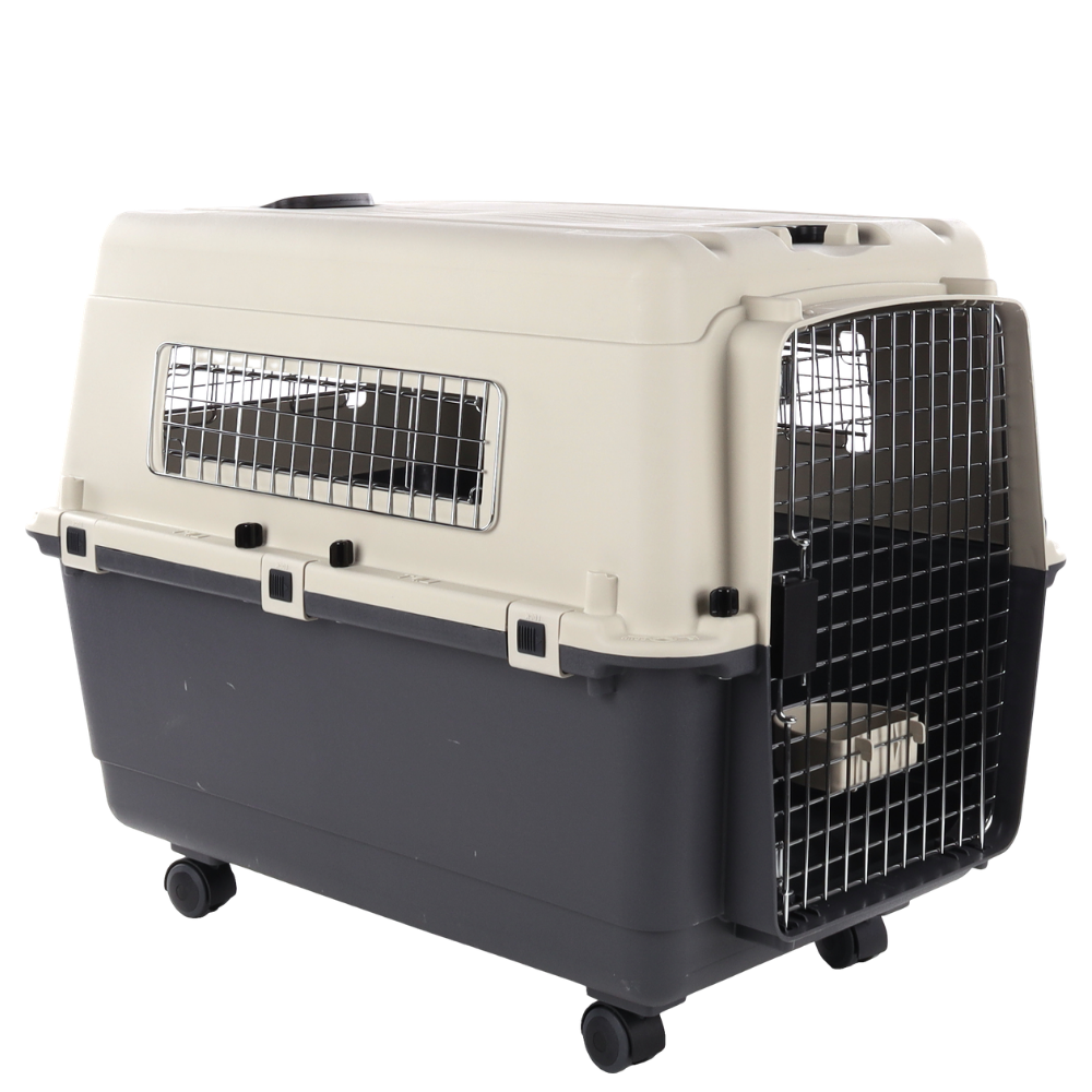 Aviation Carrier Nomad L