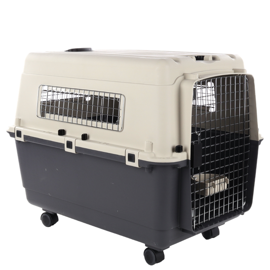 Aviation Carrier Nomad L