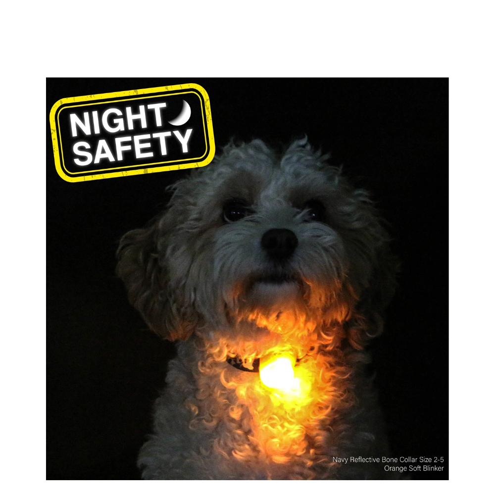 Blinker light