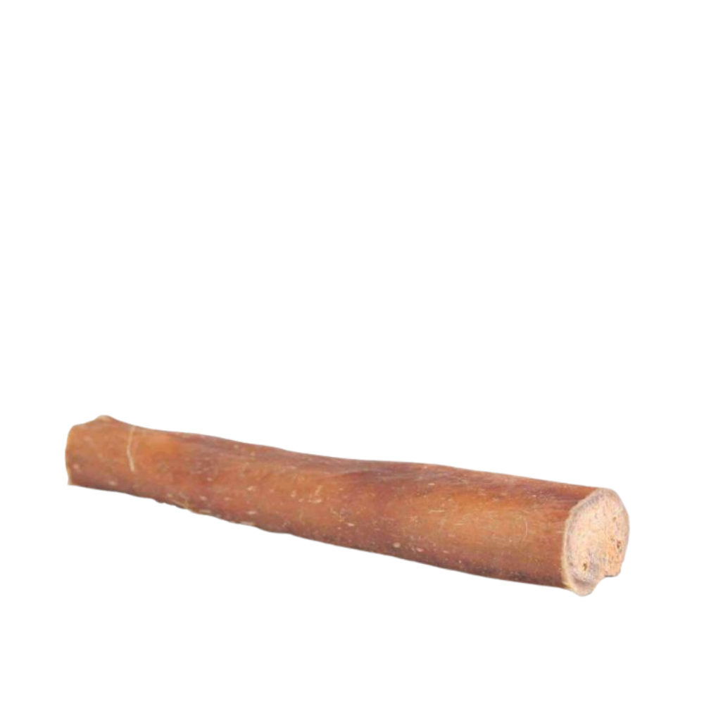 Bull pizzle 12 cm