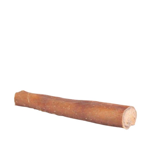 Bull pizzle 12 cm