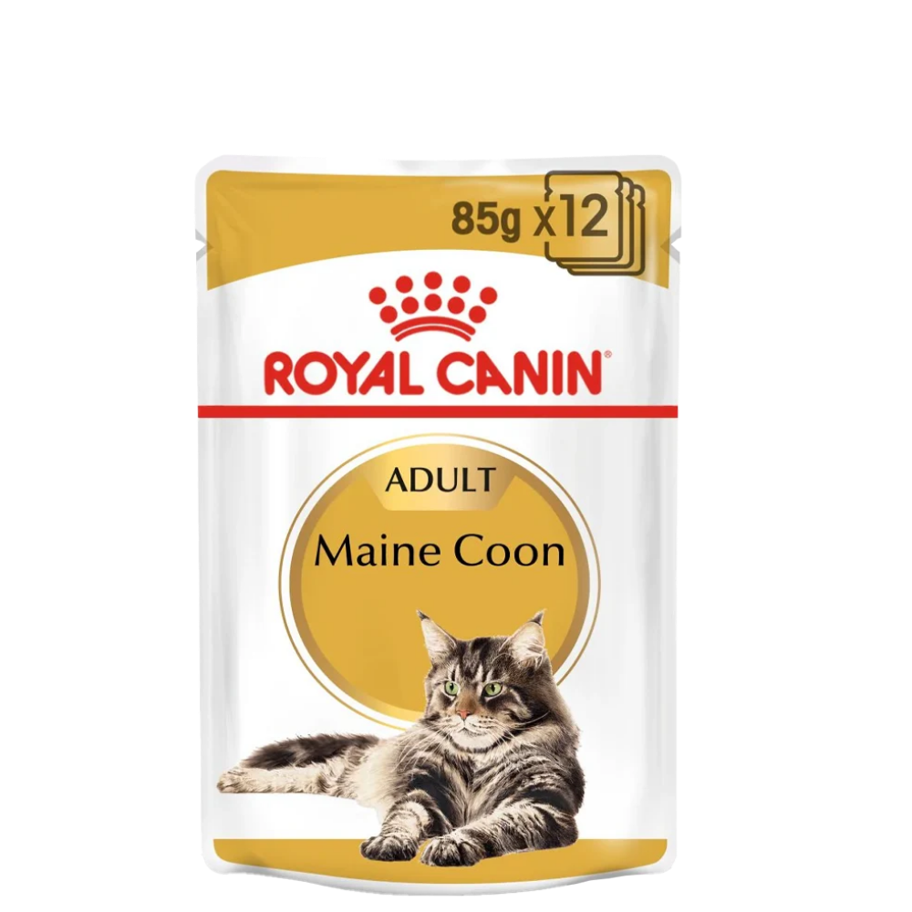 Main Coon 12x85g