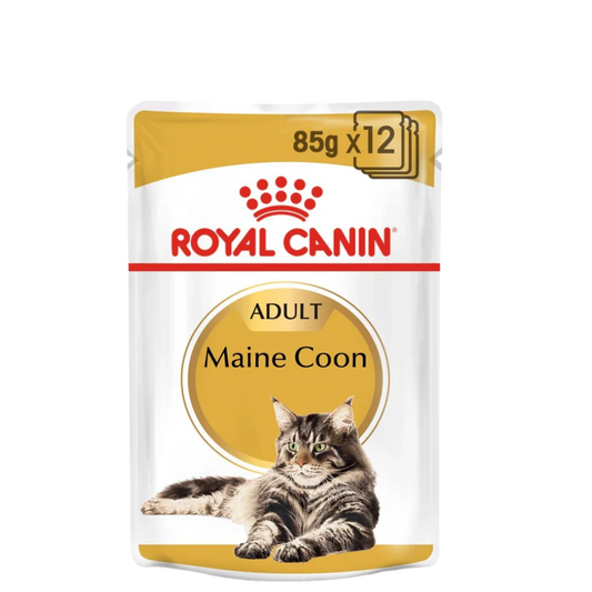 Main Coon 12x85g