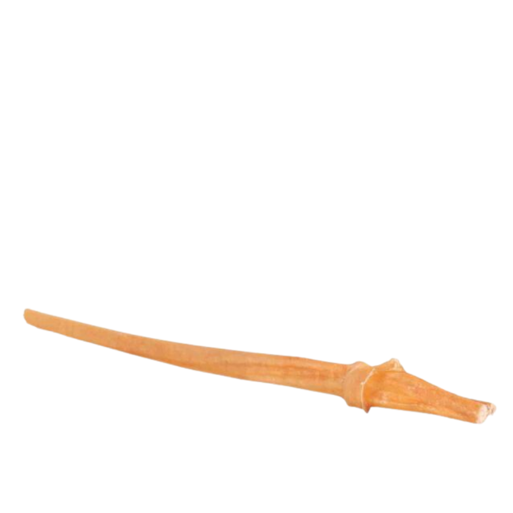 Bull pizzle 30cm