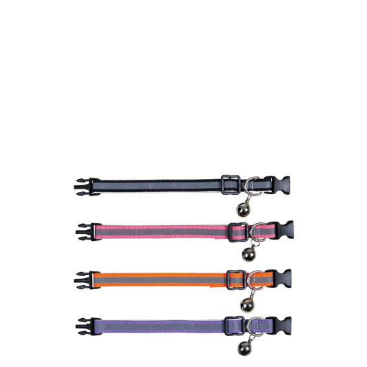 Kitten collar, reflective, nylon