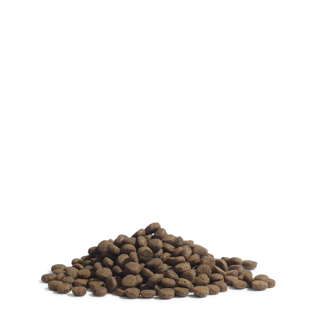 The Panther - 75g Smakkpoki - Kattafóður fyrir gelda ketti og inniketti