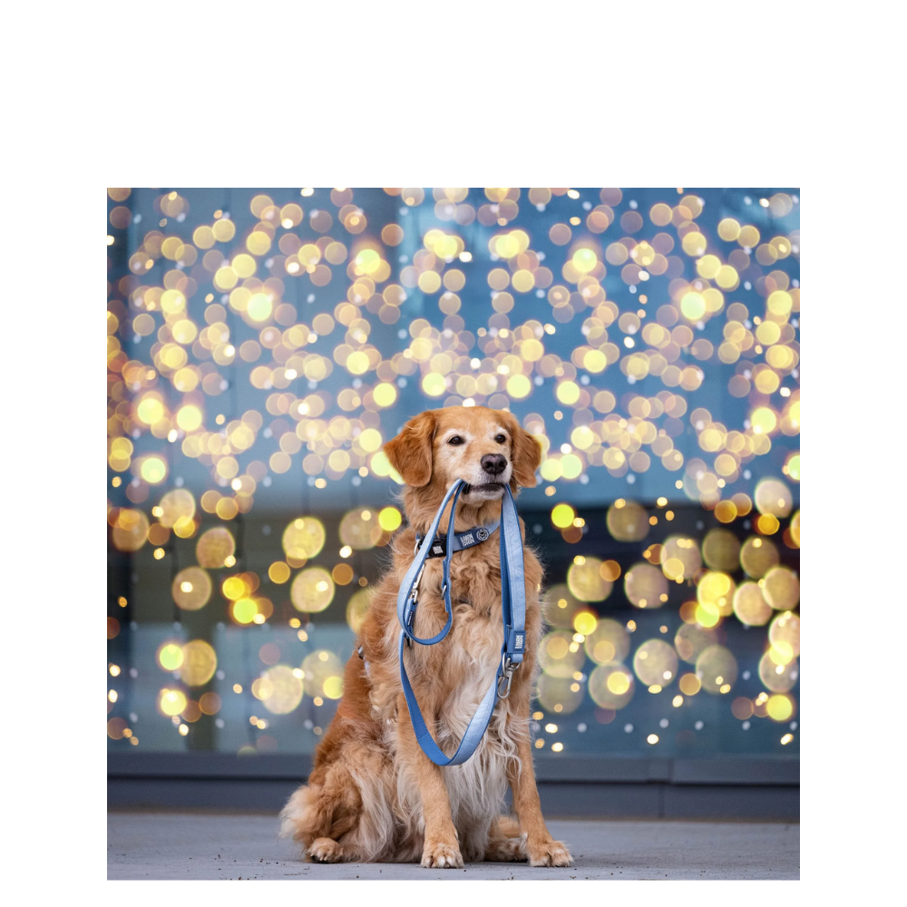 Smart ID Collar - Matrix 2.0 Ocean - L
