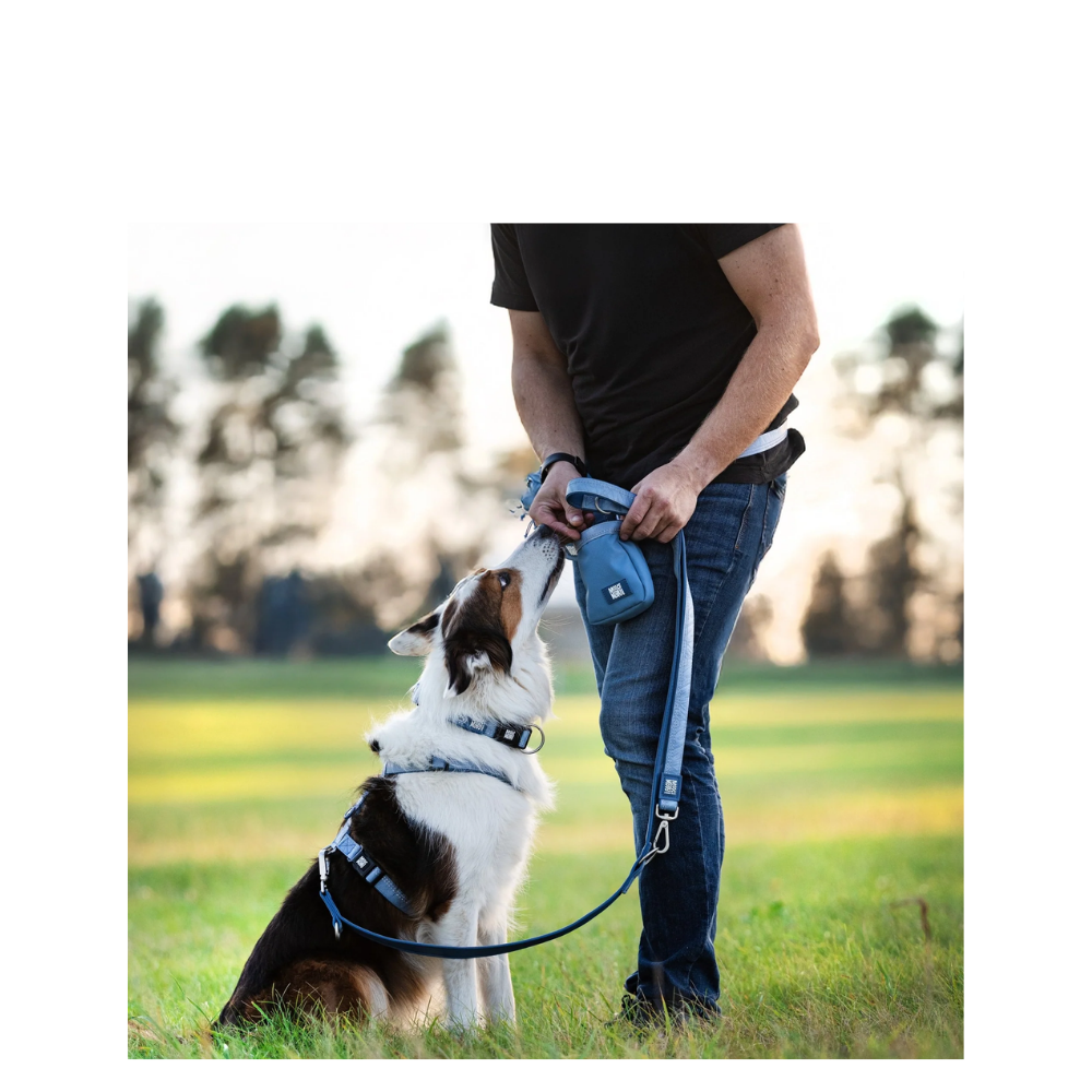 Smart ID Collar - Matrix 2.0 Ocean - L