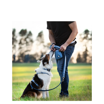 Smart ID Collar - Matrix 2.0 Ocean - L