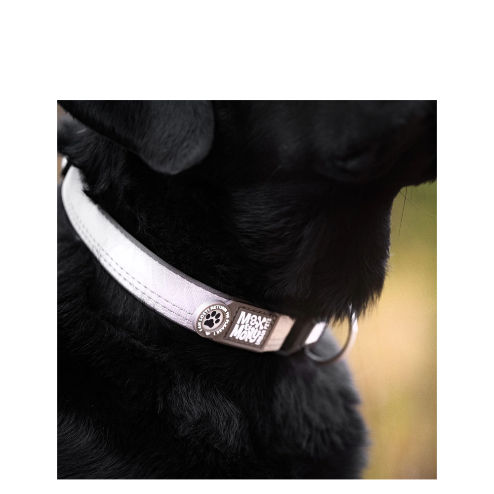 Smart ID Collar - Matrix 2.0 Sand - L