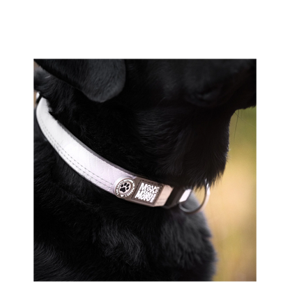 Smart ID Collar - Matrix 2.0 Sand - M
