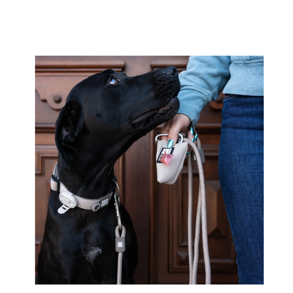 Smart ID Collar - Matrix 2.0 Sand - XS