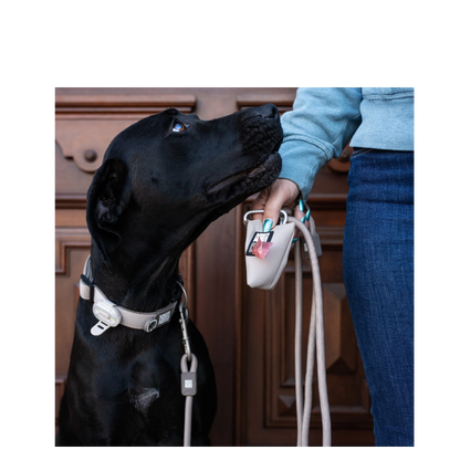 Smart ID Collar - Matrix 2.0 Sand - XS
