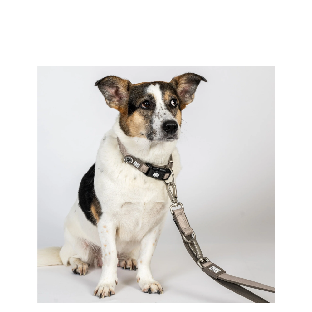 Smart ID Collar - Matrix 2.0 Sand - XS