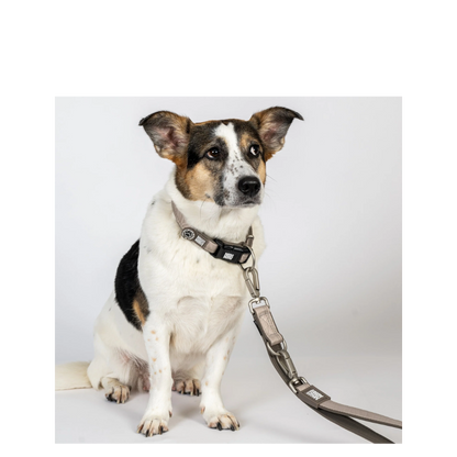 Smart ID Collar - Matrix 2.0 Sand - XS