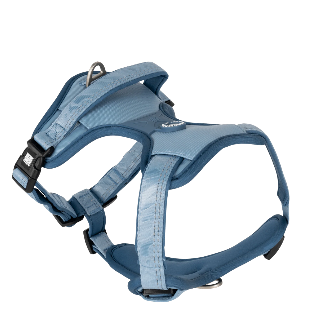Sport Harness - Matrix 2.0 Ocean - S