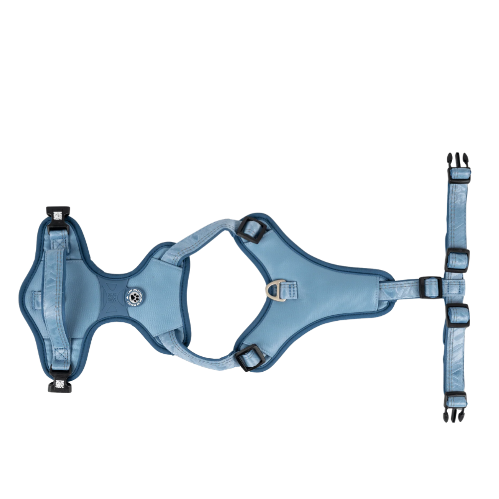 Sport Harness - Matrix 2.0 Ocean - L