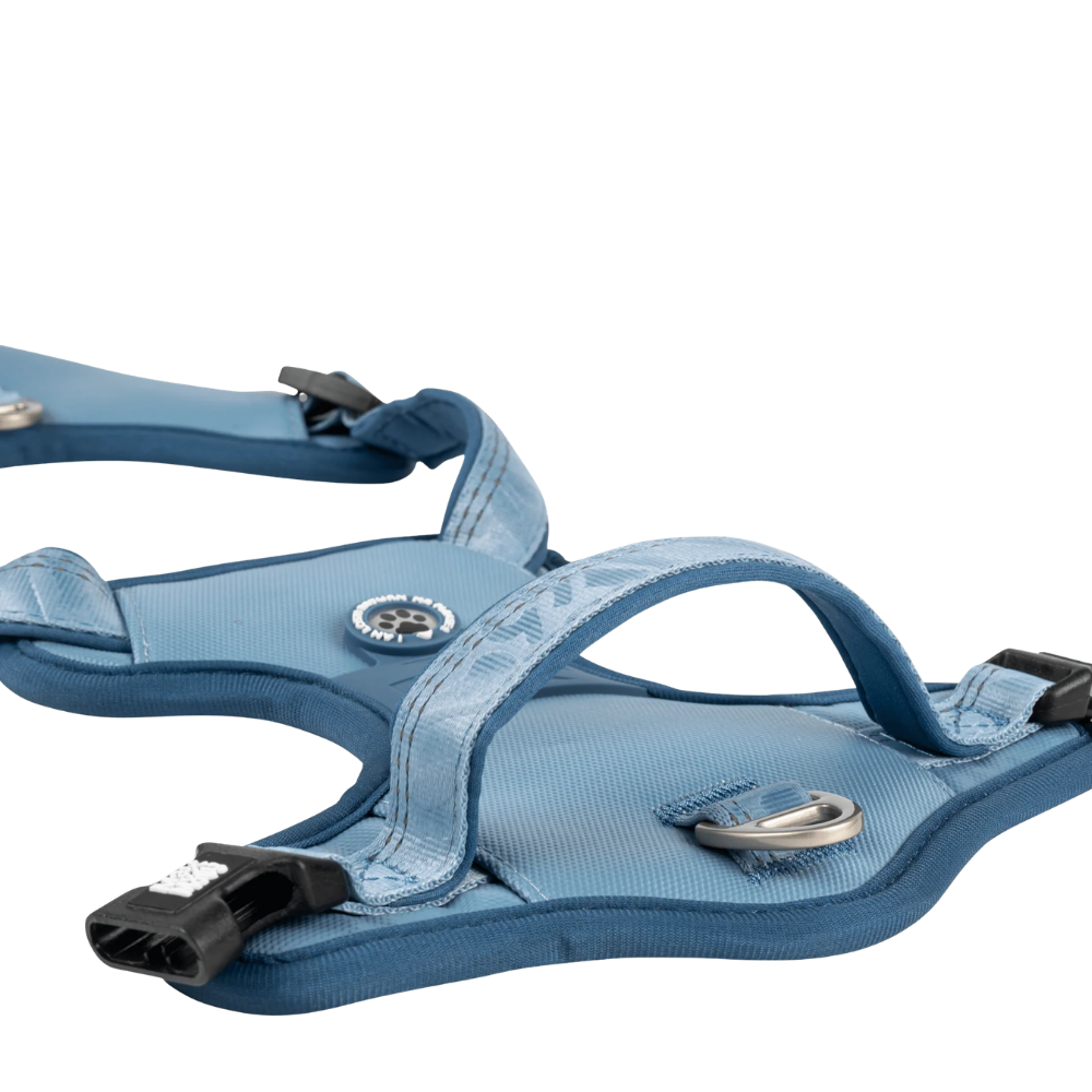 Sport Harness - Matrix 2.0 Ocean - S