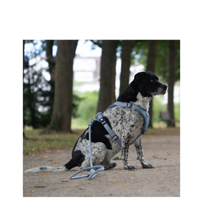 Sport Harness - Matrix 2.0 Ocean - L