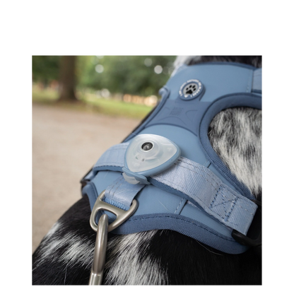 Sport Harness - Matrix 2.0 Ocean - L