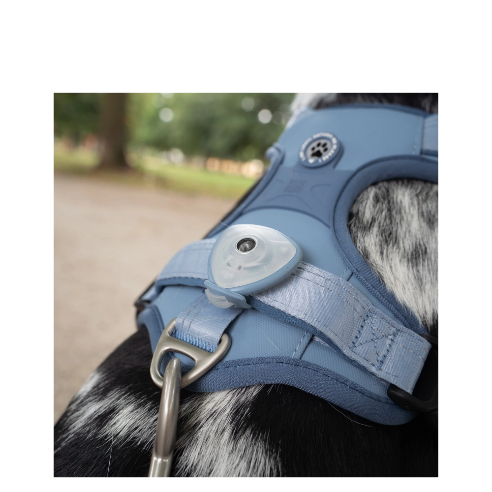Sport Harness - Matrix 2.0 Ocean - S