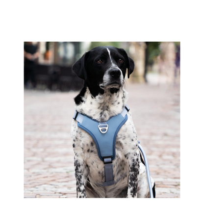 Sport Harness - Matrix 2.0 Ocean - L