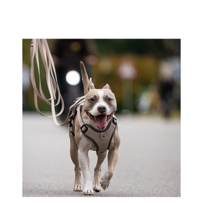 Sport Harness - Matrix 2.0 Sand - M