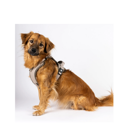 Sport Harness - Matrix 2.0 Sand - S