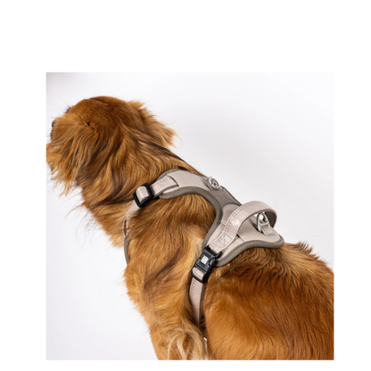 Sport Harness - Matrix 2.0 Sand - M