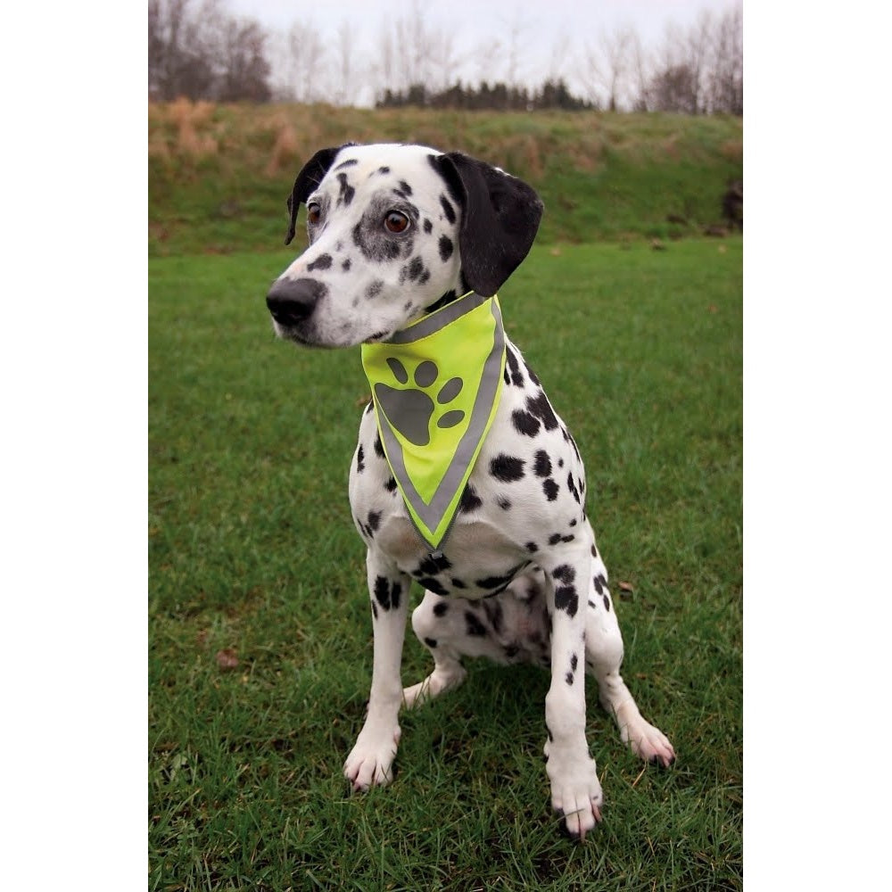 Safer Life neckerchief L-XL. 43-60 cm