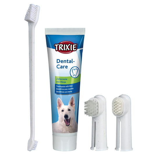Dental hygiene set dog